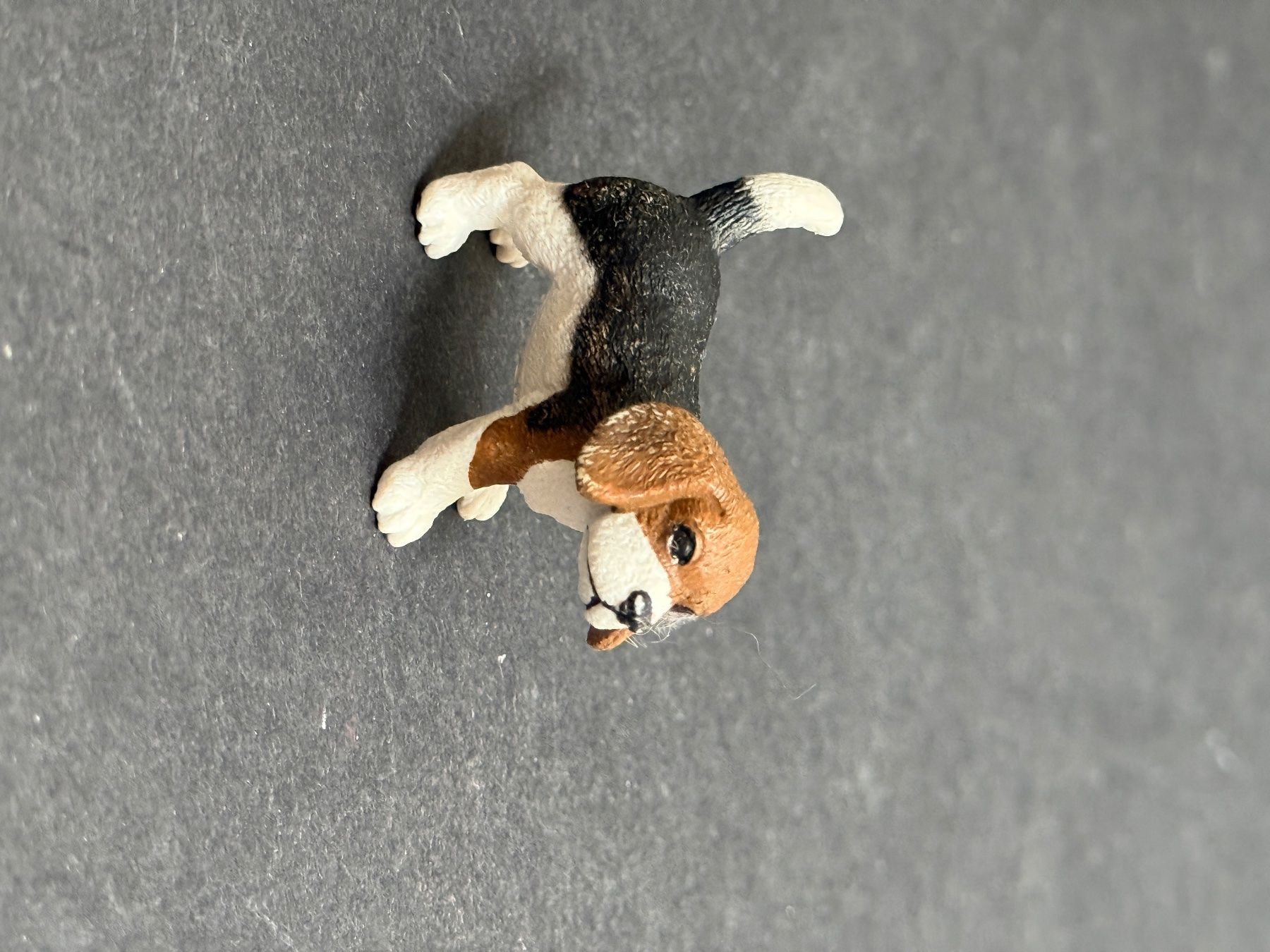 Schleich Statuette: Schleich Hund Beagle aus Baumhaus Set – Usato da Ennetbaden venduto da mapa05 2