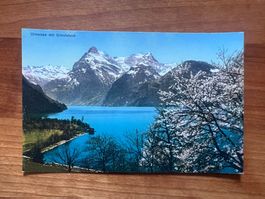 AK  ca1920  Urnersee ungelaufen   (G1870)
