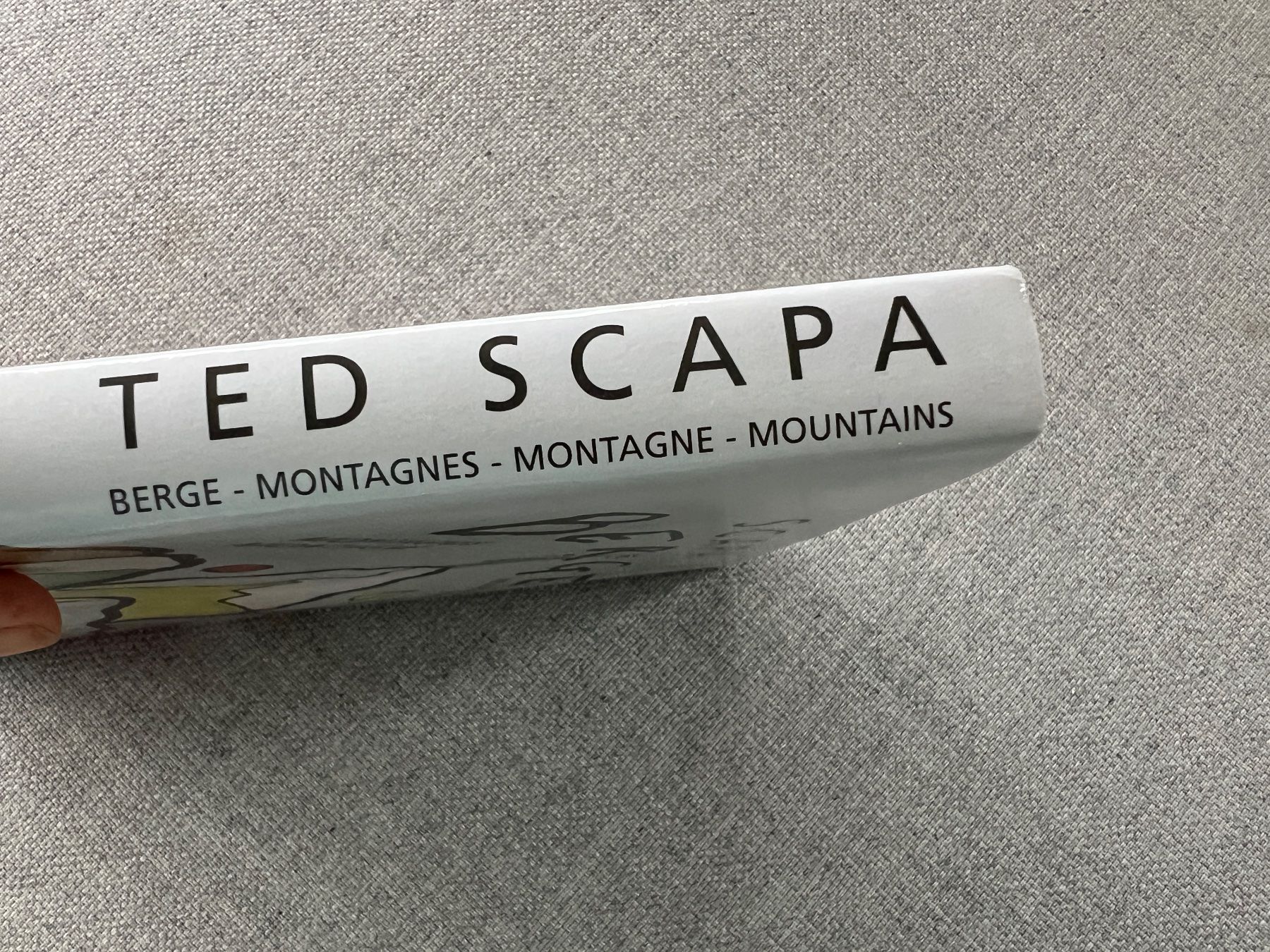 Libri: Buch Berge von Ted Scapa Kunstbuch – Usato da Ennetbaden venduto da mapa05 9