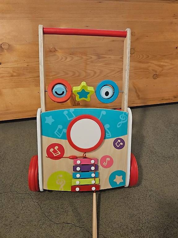 Hape Giocattoli: Hape Lauflernwagen – Usato da Zollikofen venduto da nel_5f8w