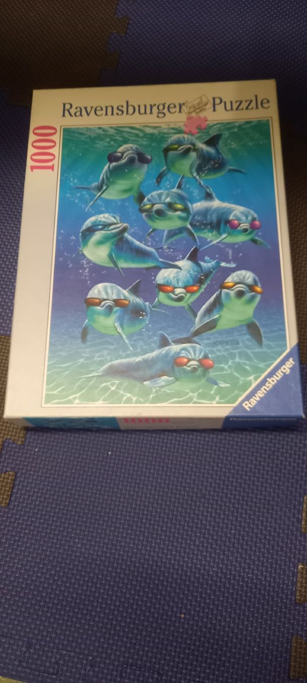 Ravensburger Puzzles: Ravensburger Puzzle Voller Durchblick 1000 Teile Delfine – Gebraucht aus Dietikon von Meeri222