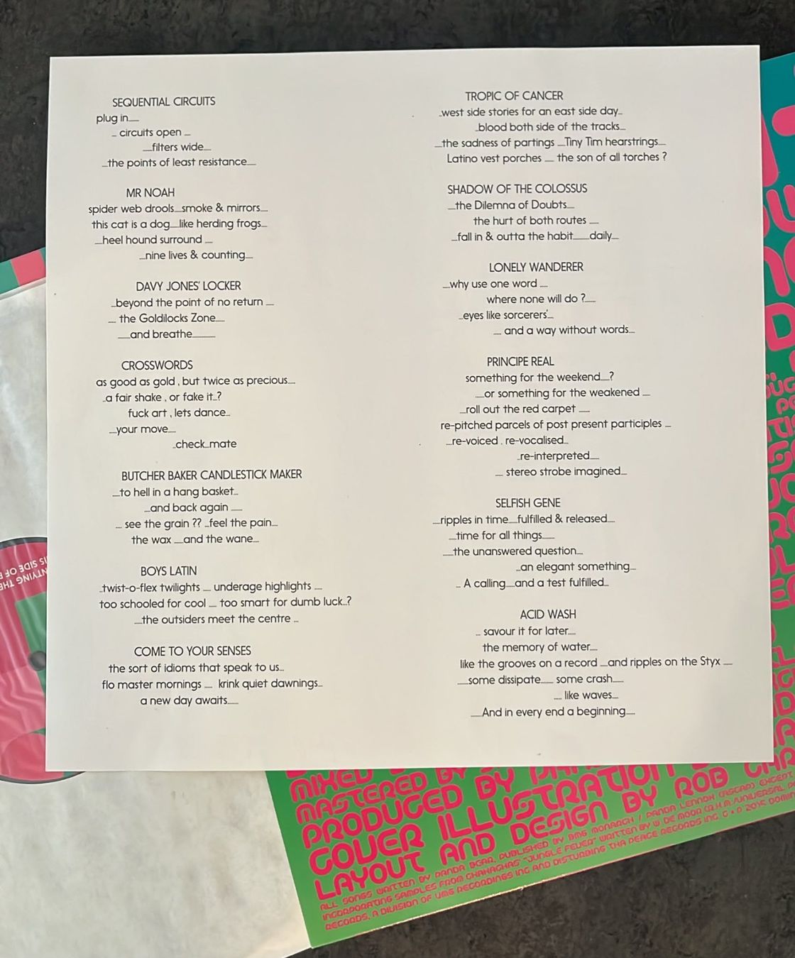 Vinyles: Panda Bear Meets the Grim Reaper LP – D'occasion à Zürich par cmmc 6