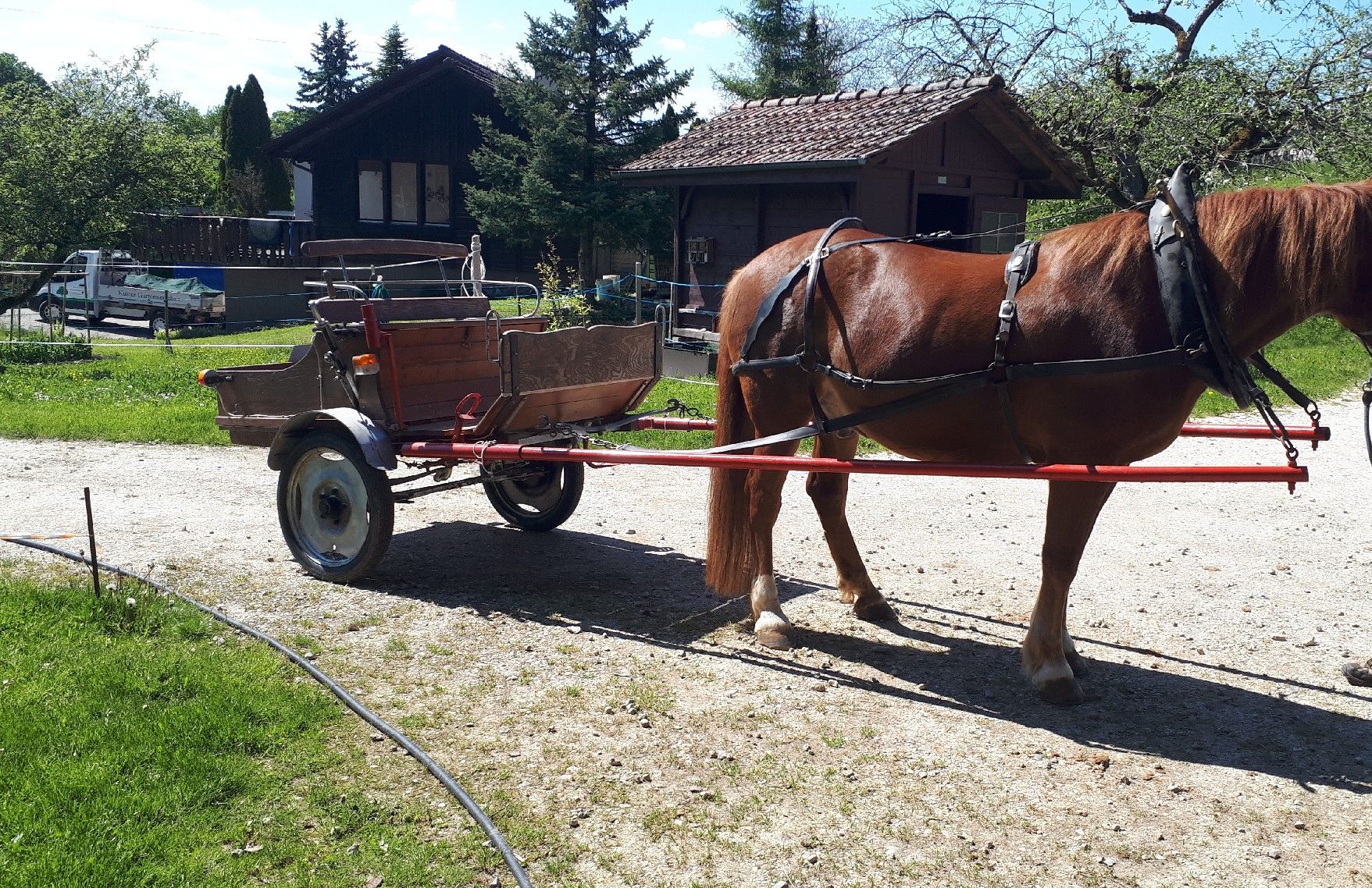 Calèches: Kutsche – D'occasion à Beggingen par Wendy222