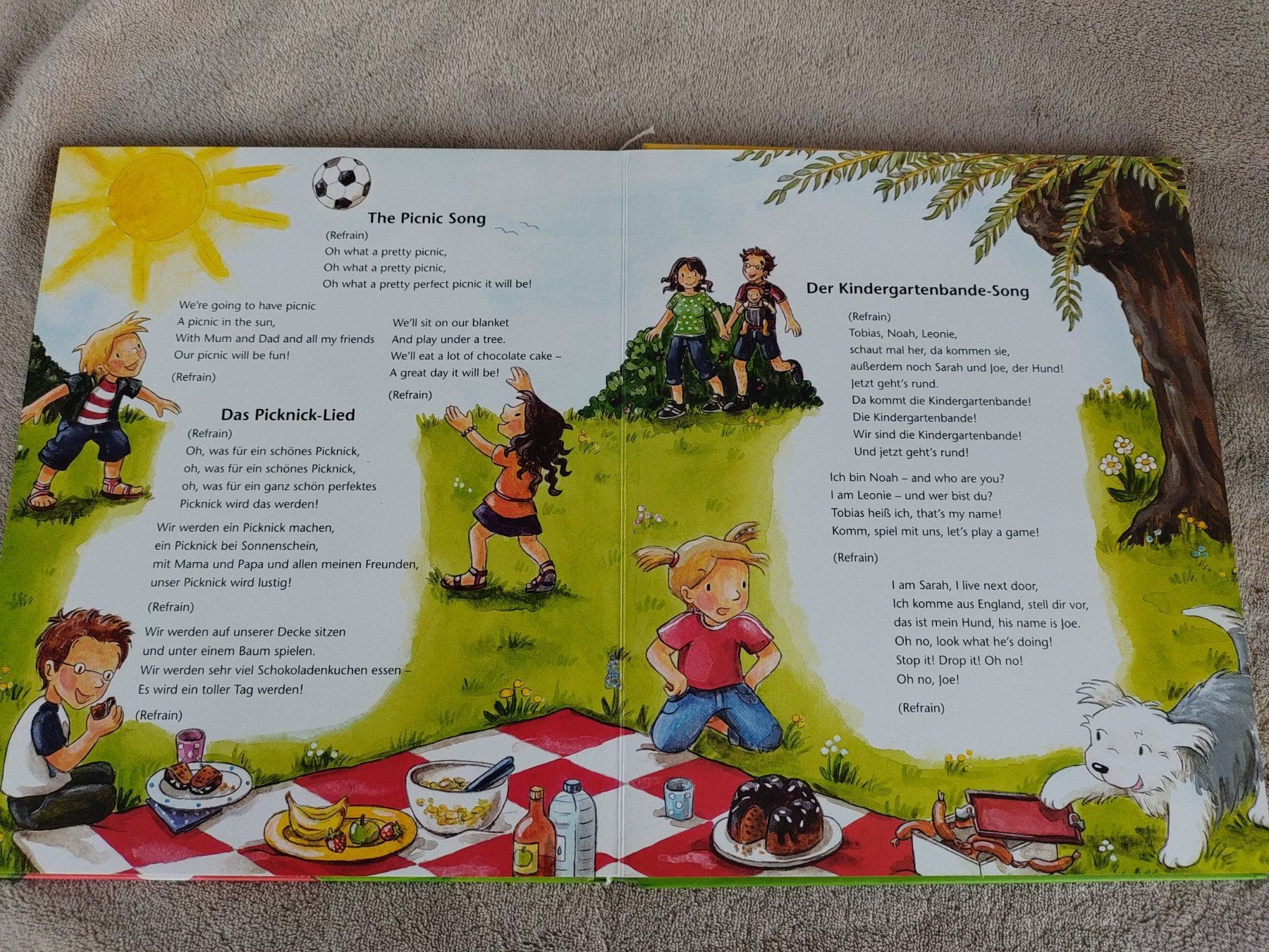 Bücher: Buch Picknick mit Kühen mit CD – Gebraucht aus Strengelbach von Phorensic_30 4