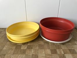 Tupperware    2 Schüsseli mit Deckel