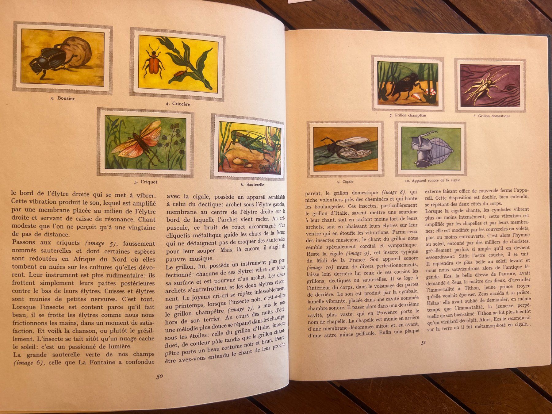 Alben: Album Nestlé avec vignettes collées – Gebraucht aus Savigny von ron_q529 8