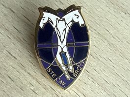 Pin Ste Cav Broye