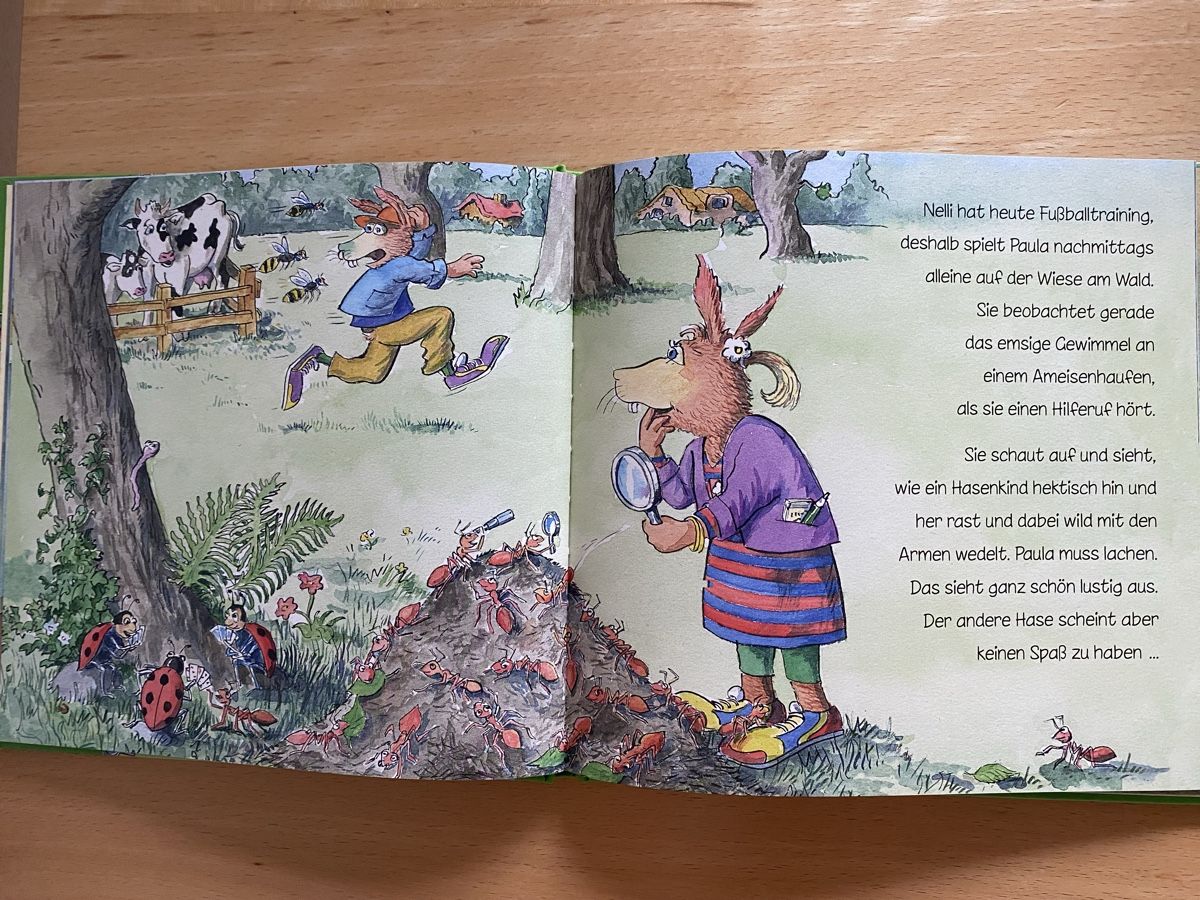 Libri: Die Grünnasenhasen / Mut tut gut – Usato da Schwarzenburg venduto da Michellu 5