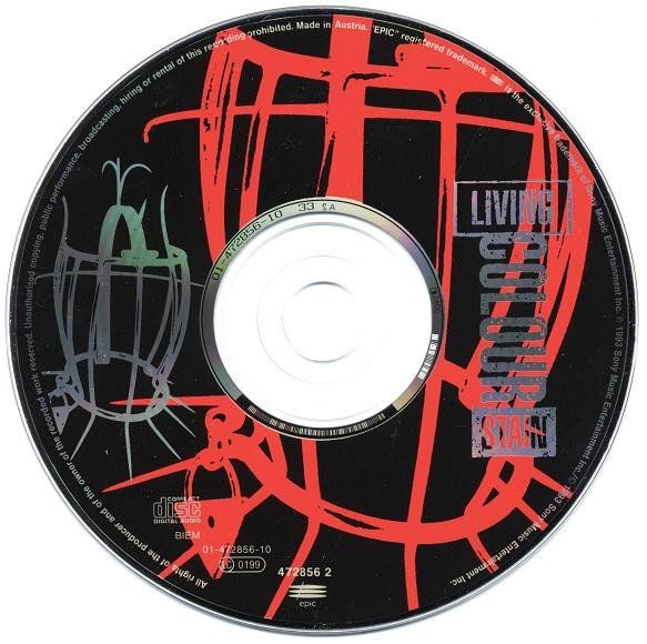 CD: Living Colour – Stain – Usato da St.Gallen venduto da jalamusic 2