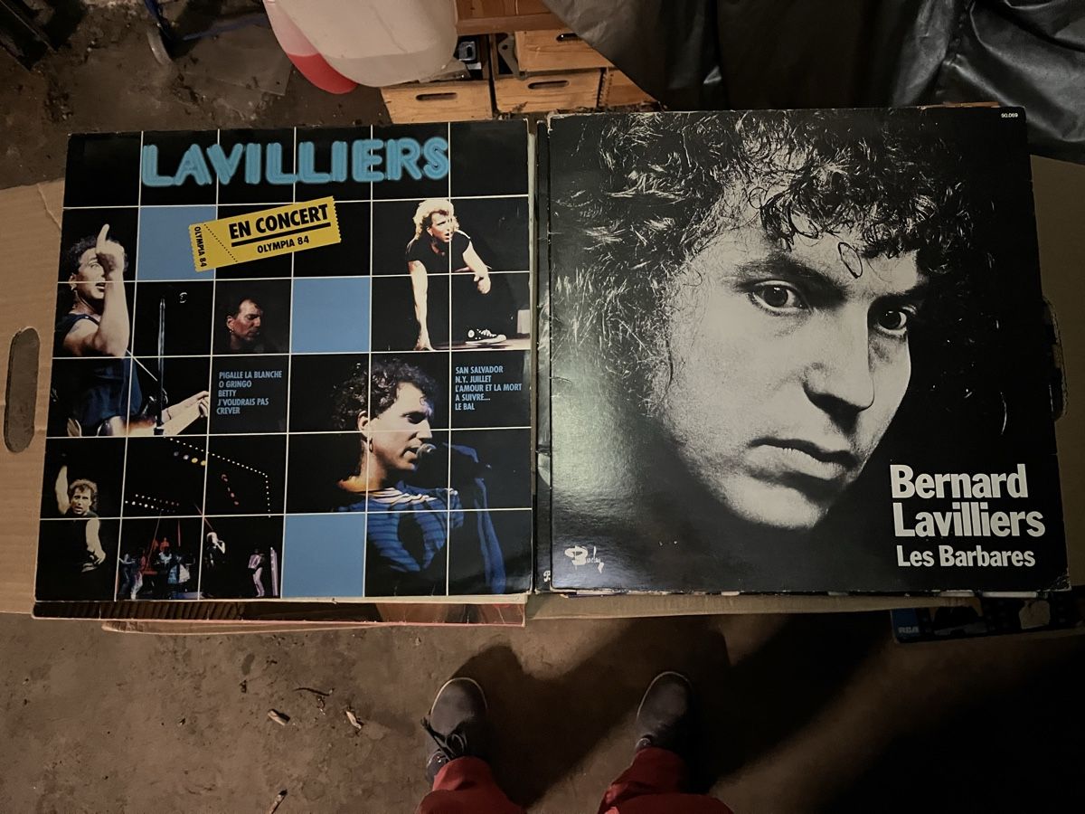 Dischi in vinile: 6Vinyles Bernard Lavilliers 33 t – Usato da Chambésy venduto da ggr_yg5d 1