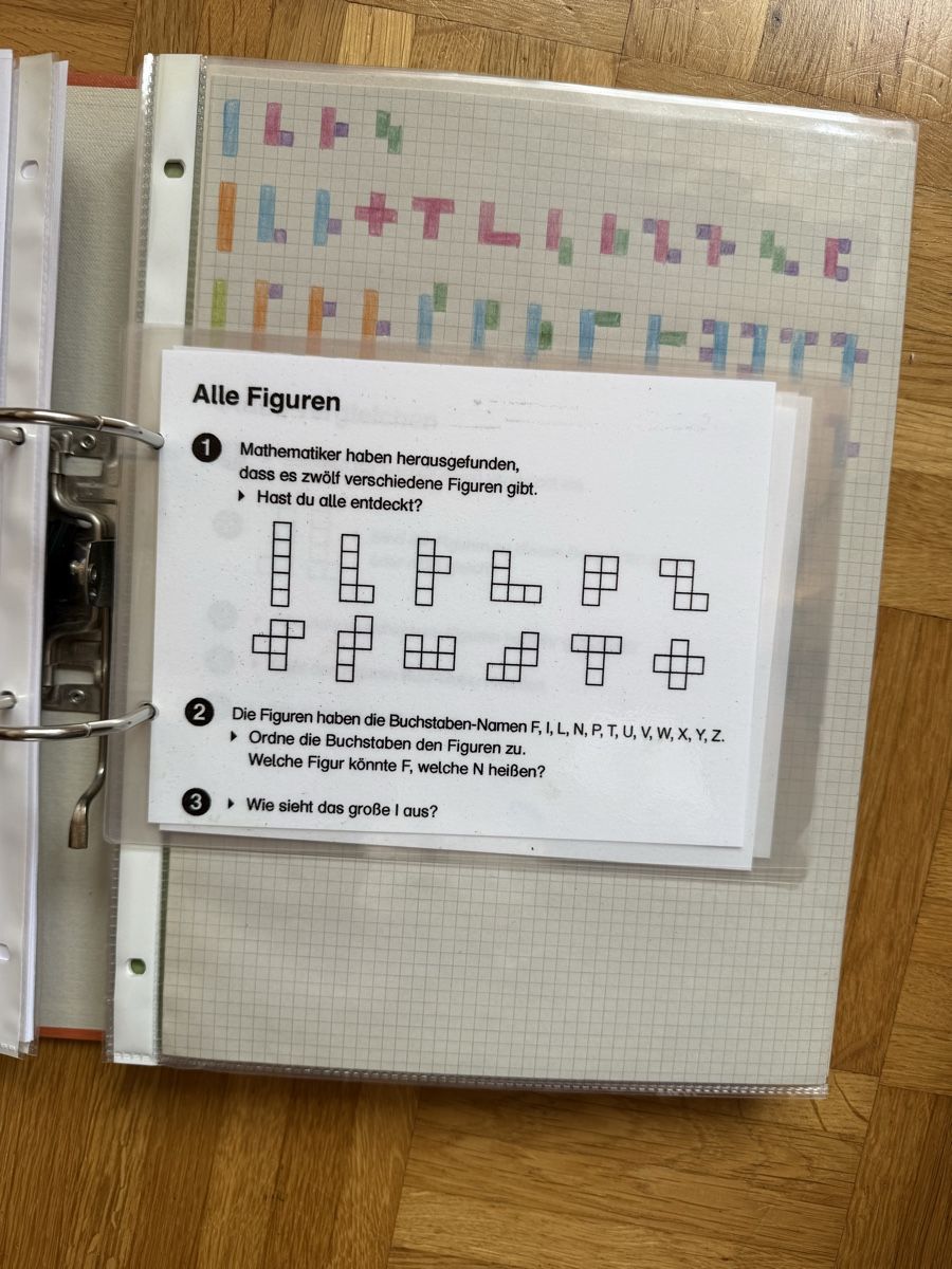 Raccoglitori: Unterrichtsmaterial Mathematik  – Usato da Dietikon venduto da Princessy 2