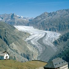 Profile image of Shopwallis