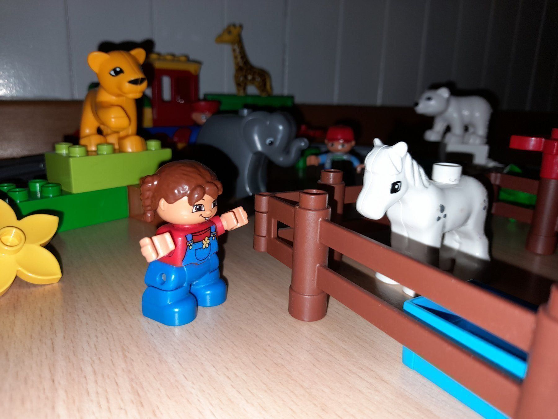 Lego Giocattoli: Lego Duplo Schiebezug – Usato da Wittenbach venduto da Gugielmo 1