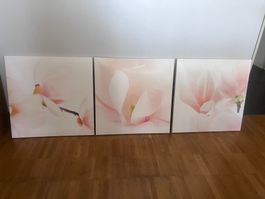 Bilder 3er Set