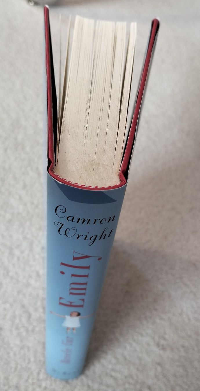 Bücher: Buch "Briefe für Emily", Roman von Camron Wright – Neu (gemäss Beschreibung) aus Muri AG von Thuja99 6