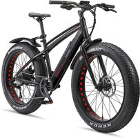 Telefunken E-Bike FM350 Fatbike Schwarz