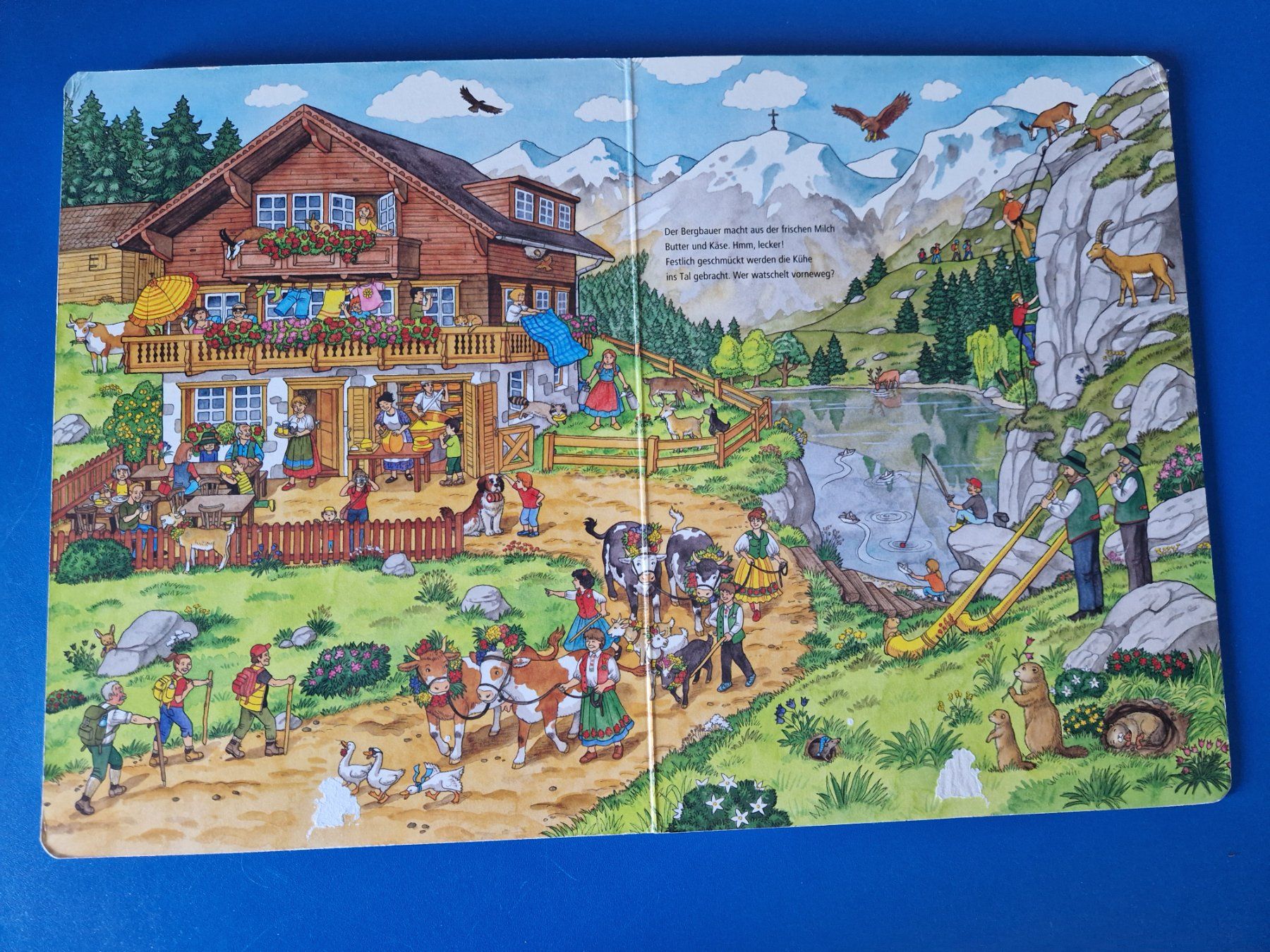 Bücher: Bauernhof Wimmelbuch – Gebraucht aus Münchenbuchsee von Aare22 6