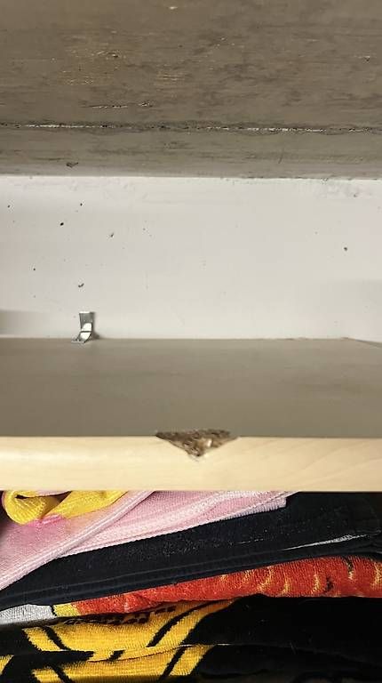 Armadi: Schrank in Ahornoptik – Difettoso da Birr venduto da alonso77 3