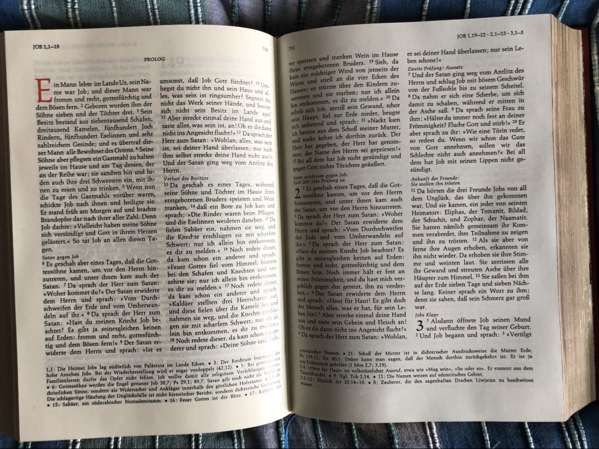 Bücher: Heilige Schrift Altes/Neues Testament – Neu (gemäss Beschreibung) aus Muenchenstein von Holiduli 6
