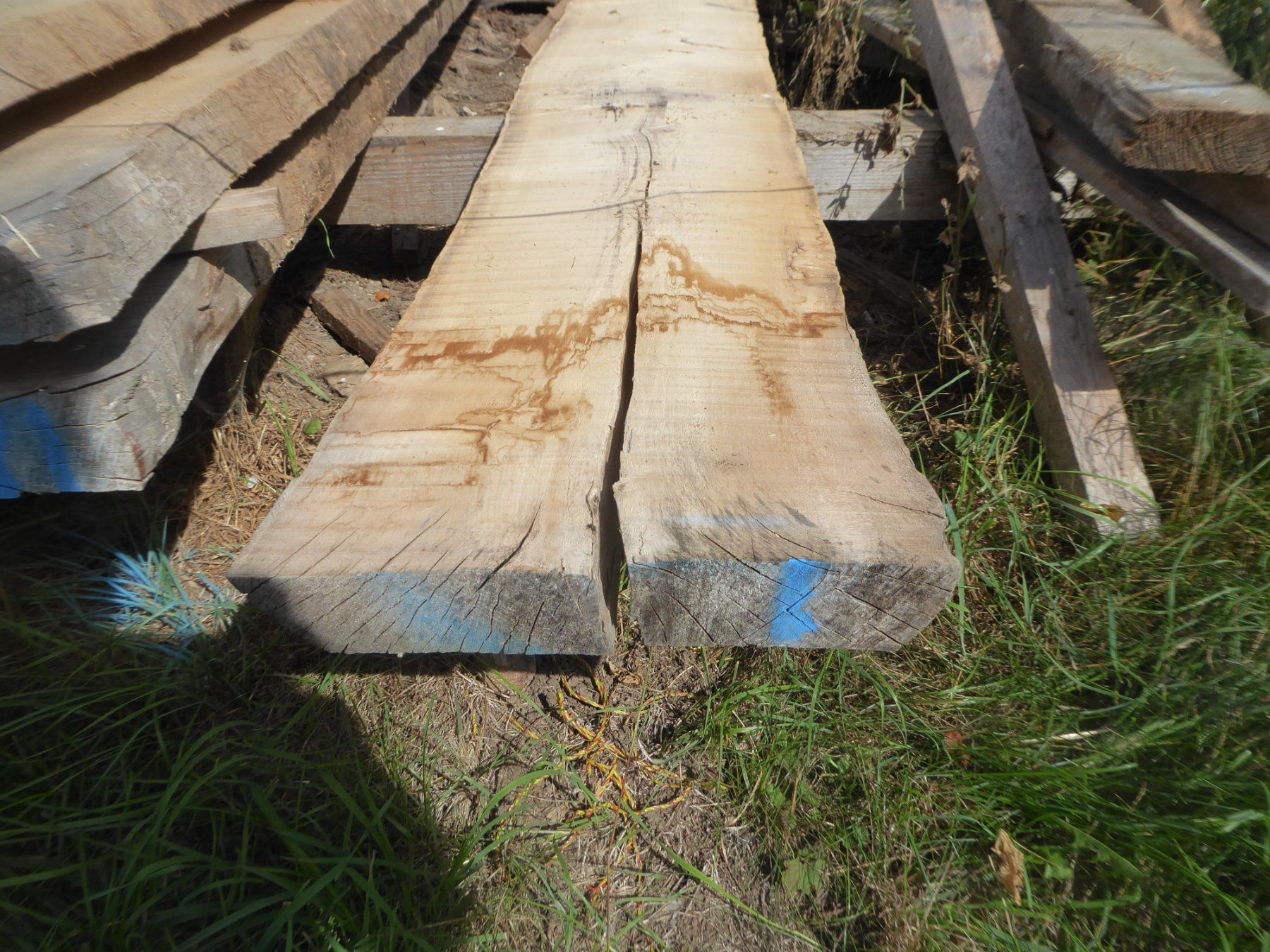 Articoli in legno: Eschenbrett 6 cm – Nuovo (secondo la descrizione) da Sumiswald venduto da Hennri1 3