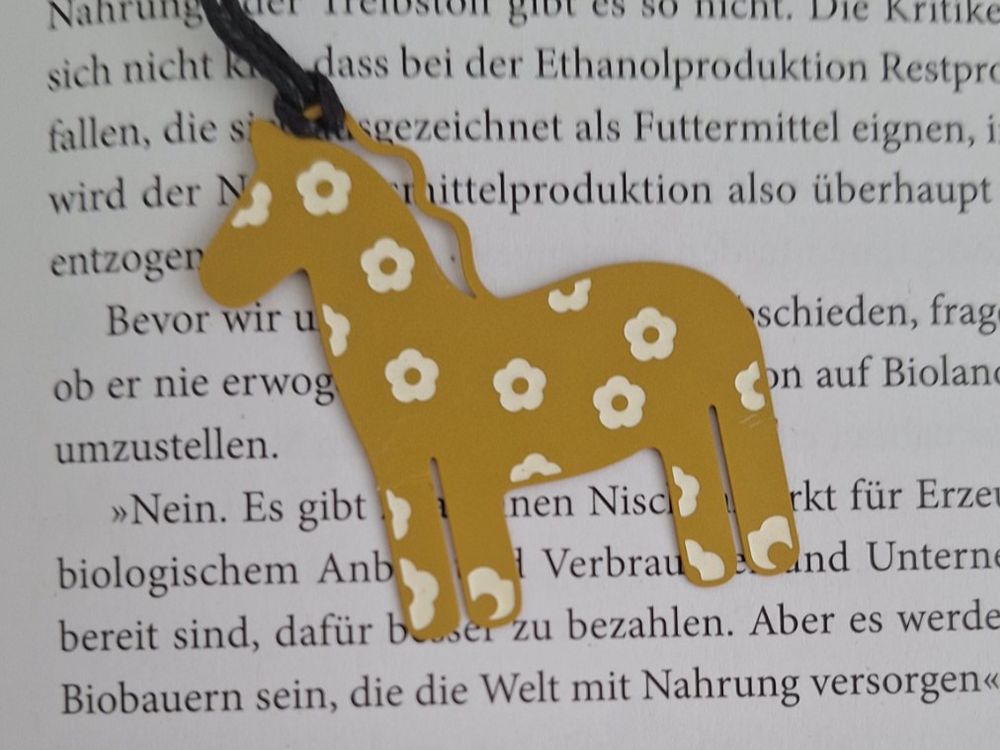 2 Edelstahl-Lesezeichen Mit Geschenkbox – Perfekt Für Bücherwürmer