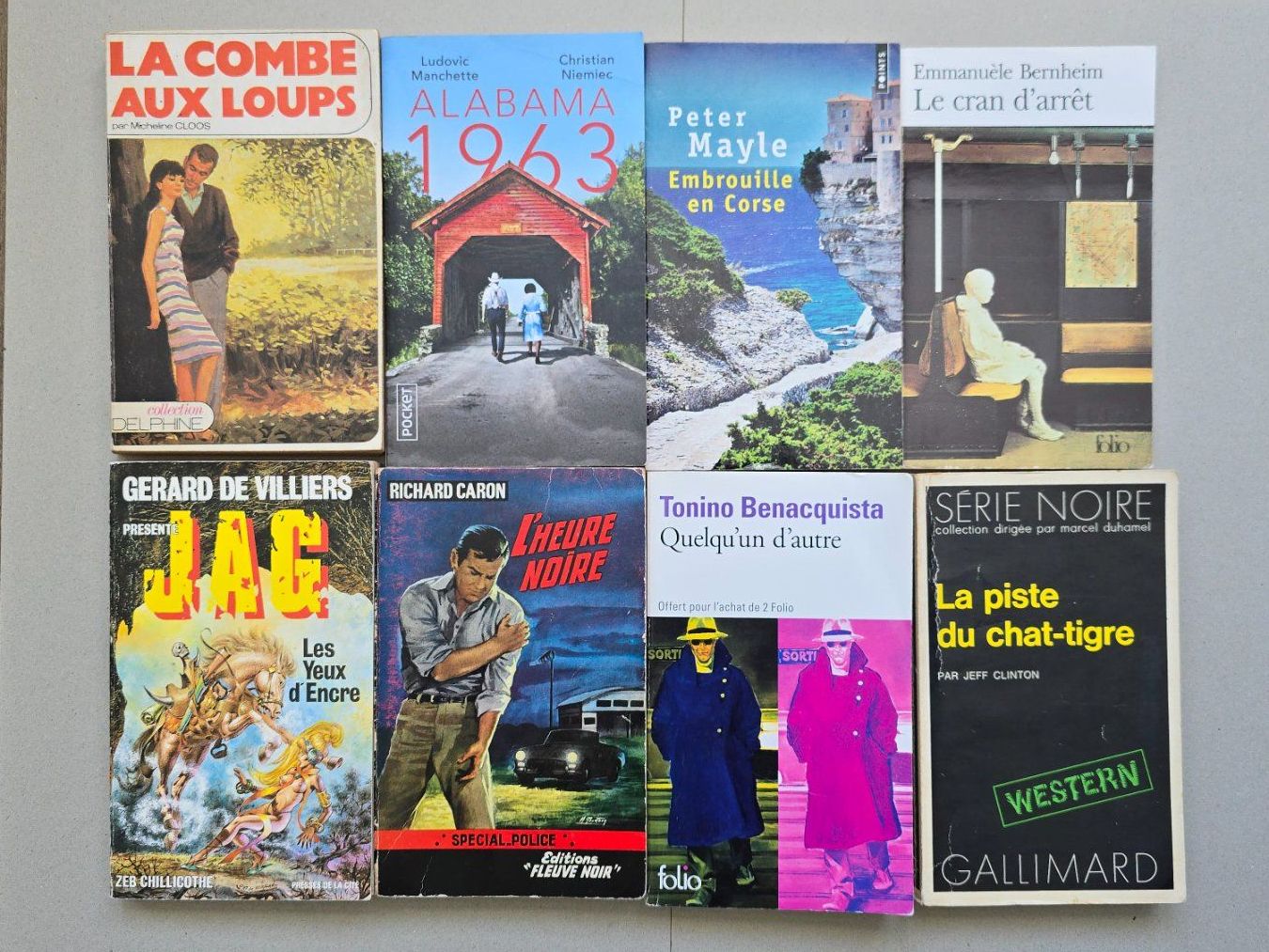 Libri: Lots de livres divers en format poche – Usato da Schwyz venduto da Danyclau 1