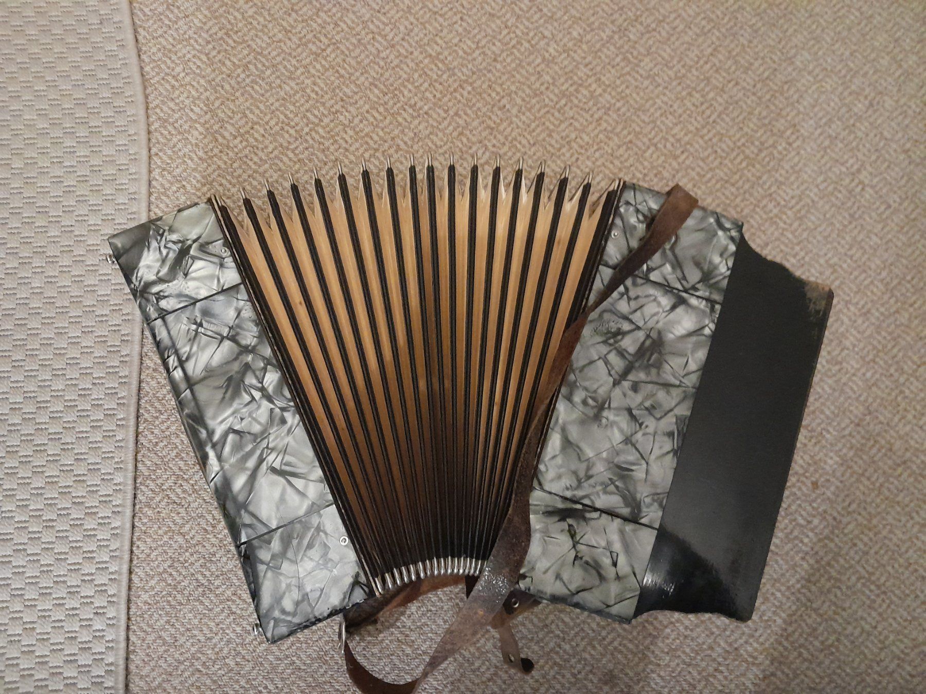 Strumenti musicali: Hohner Concertina Vineta – Usato da Tann venduto da Raqueldoo 4