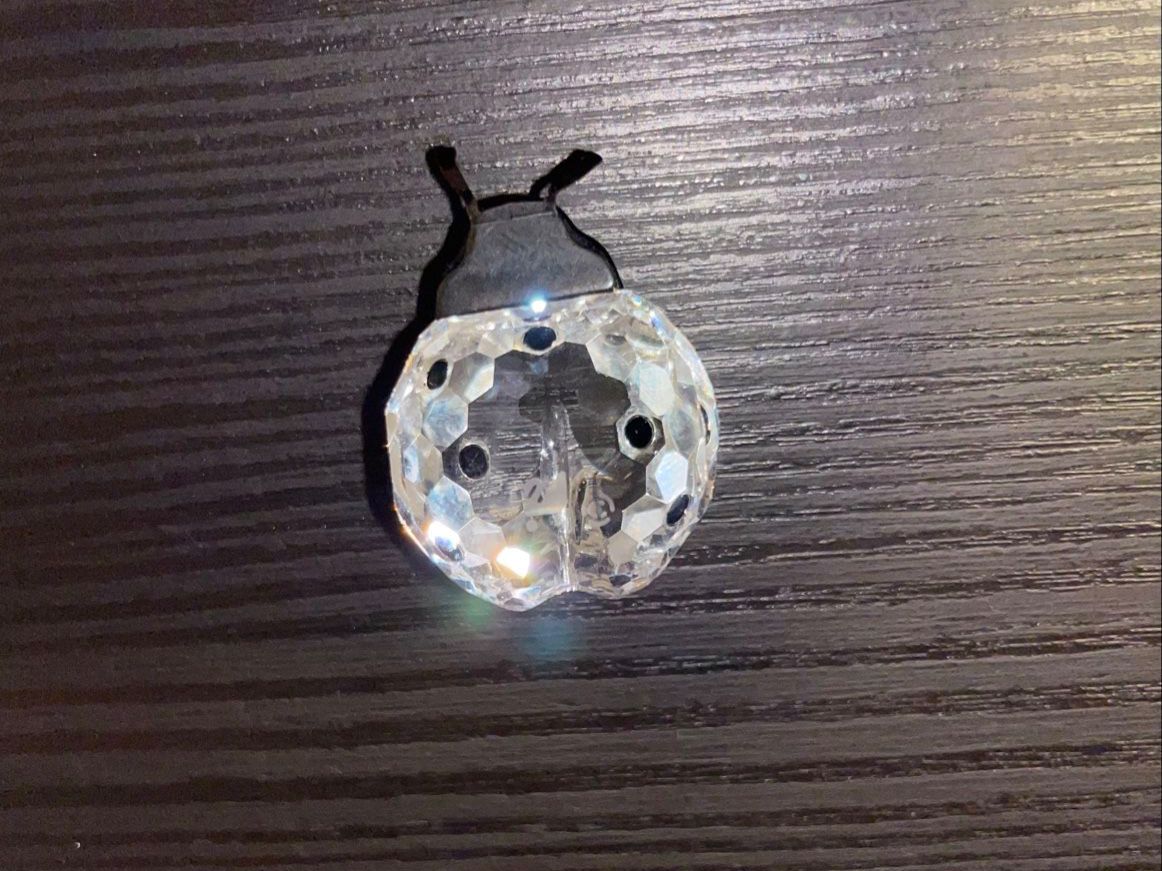 Swarovski Figuren: Swarovski Crystal Marienkäfer – Gebraucht aus Glattfelden von Aura_X 1