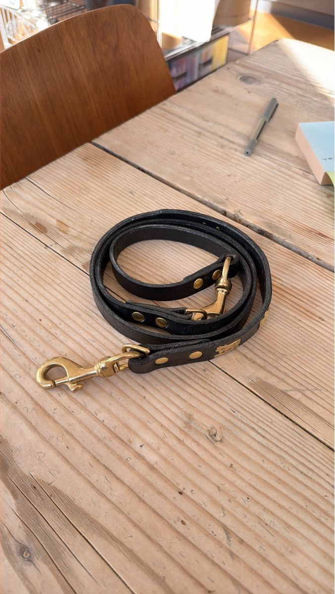 Leine & Halsband: Appenzeller Hundeleine Messing – Neu und originalverpackt aus Biel/Bienne von euro3000