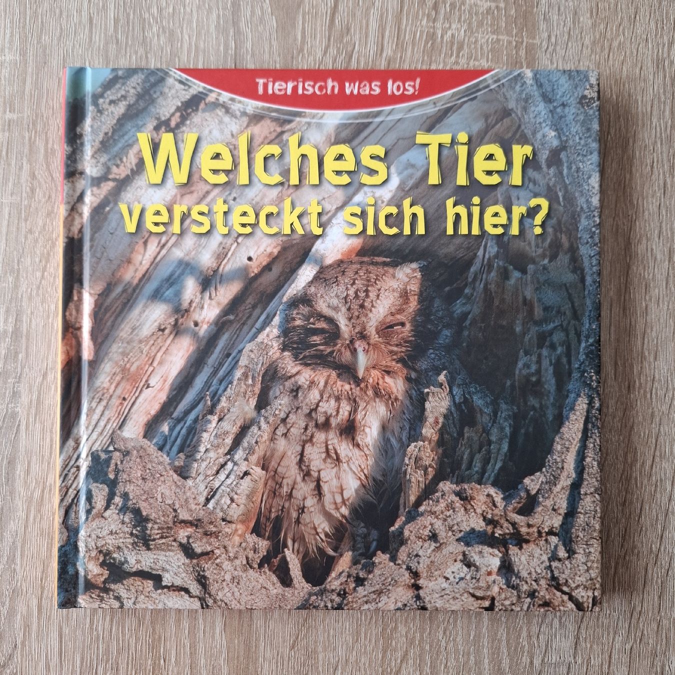 Libri: 6 Kinderbücher "Welches Tier..." – Nuovo (secondo la descrizione) da Hägglingen venduto da Pilipadin 5