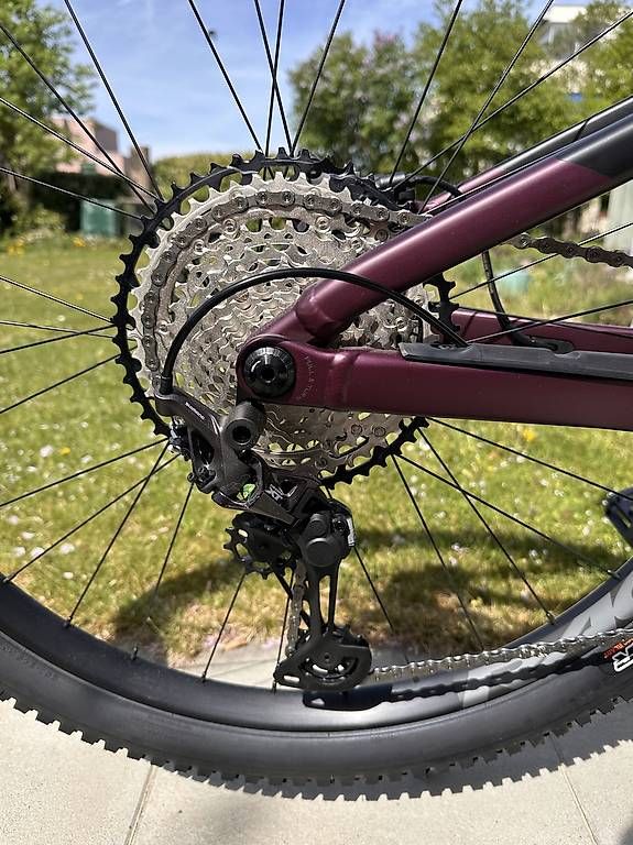 Vélos: E-MTB Orbea – Neuf avec emballage d'origine à Pfäffikon ZH par Frauchi 3