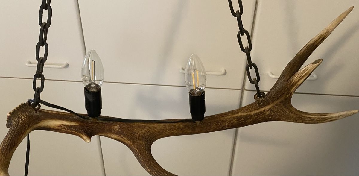 Lampadari & plafoniere: Pendelleuchte aus Hirschgeweih – Usato da Rheinfelden venduto da Tigerlilli 2