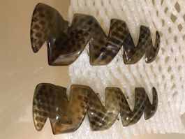 2Haarklammer French ZIG ZAG CHIGNON Clip,NEU