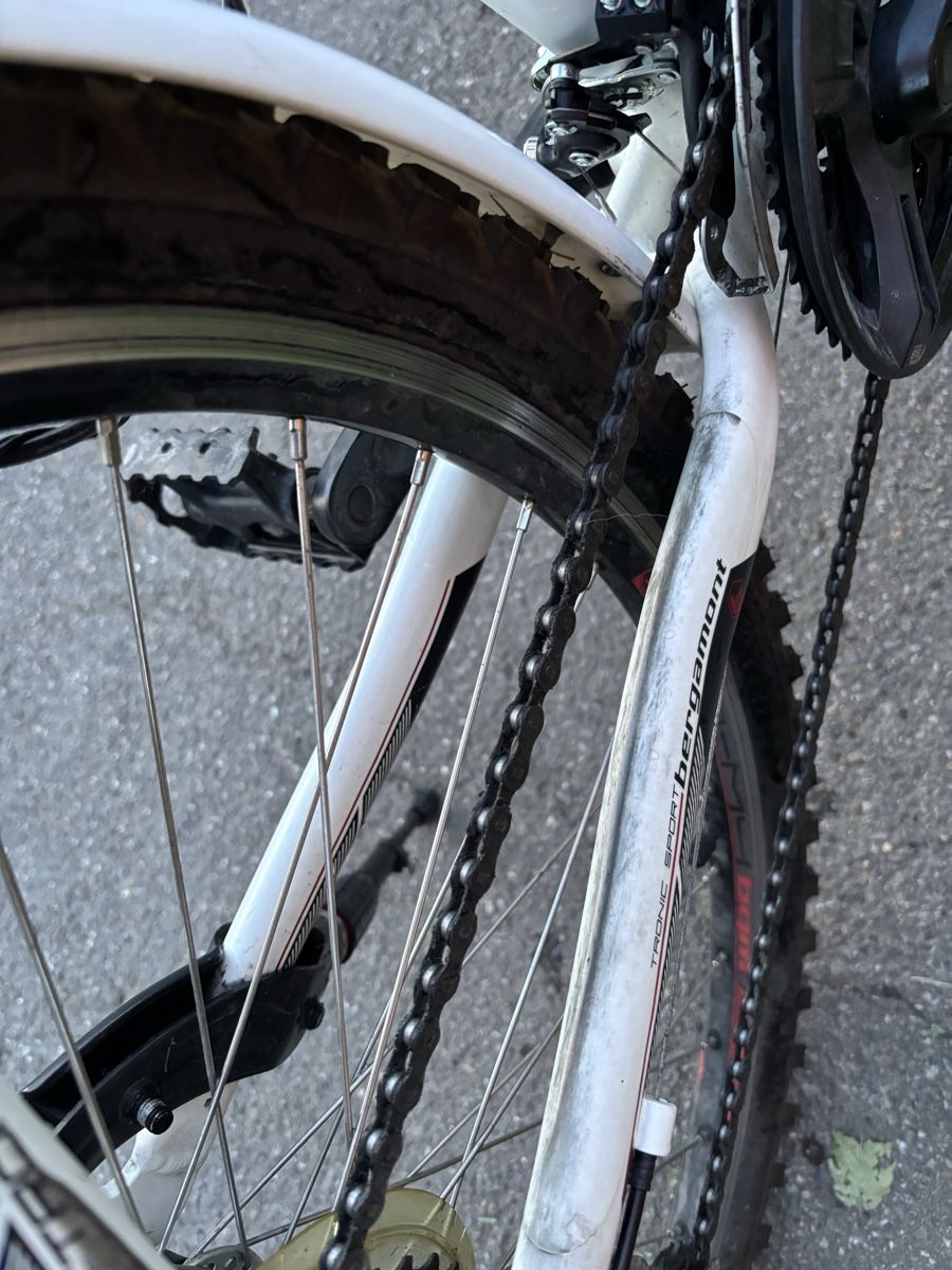 Bergamont Biciclette: Jugendvelo – Usato da Cham venduto da loe_v29f 2