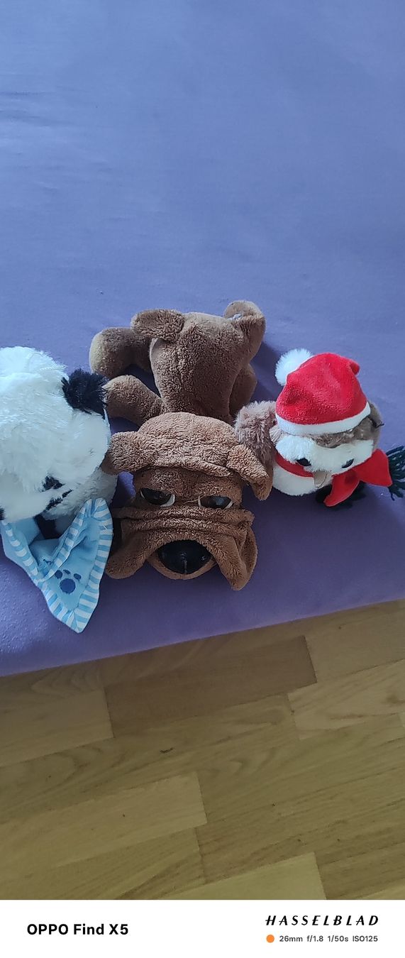 Sanrio Giocattoli: Süsser Plüschtierset  – Usato da Unterentfelden venduto da igs_nj72 2