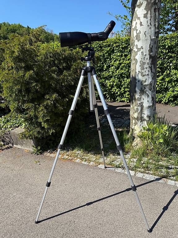 Telescopi: Fernrohr – Usato da Reinach BL venduto da Ylon 4