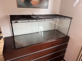 Terrarium