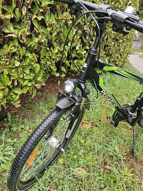 Velos: Pegasus, 24 Zoll – Gebraucht aus Fuerigen von kati072 2