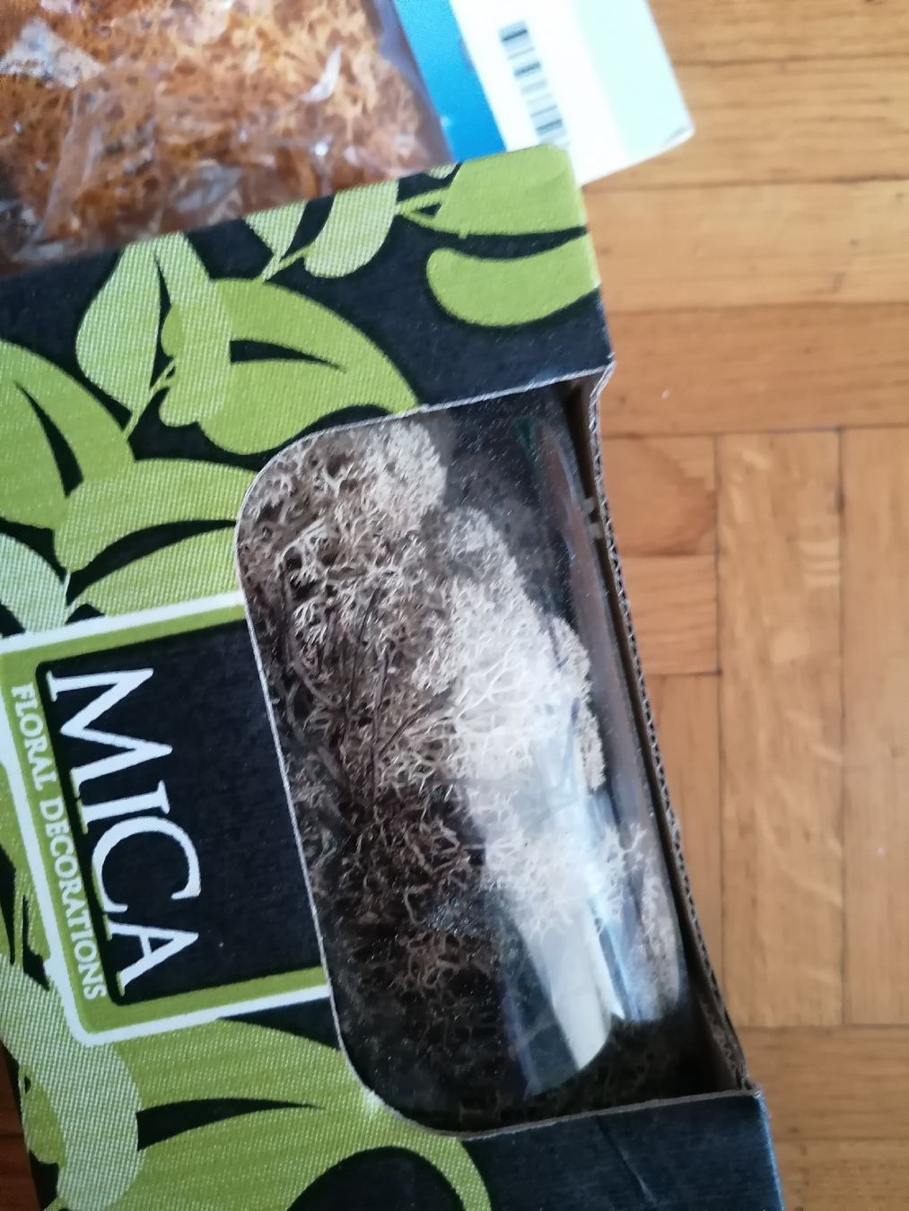 Piante & sementi: Moss lichene mousse Orange et verte – Nuovo (secondo la descrizione) da Le Mont-Pèlerin venduto da dundun1 3