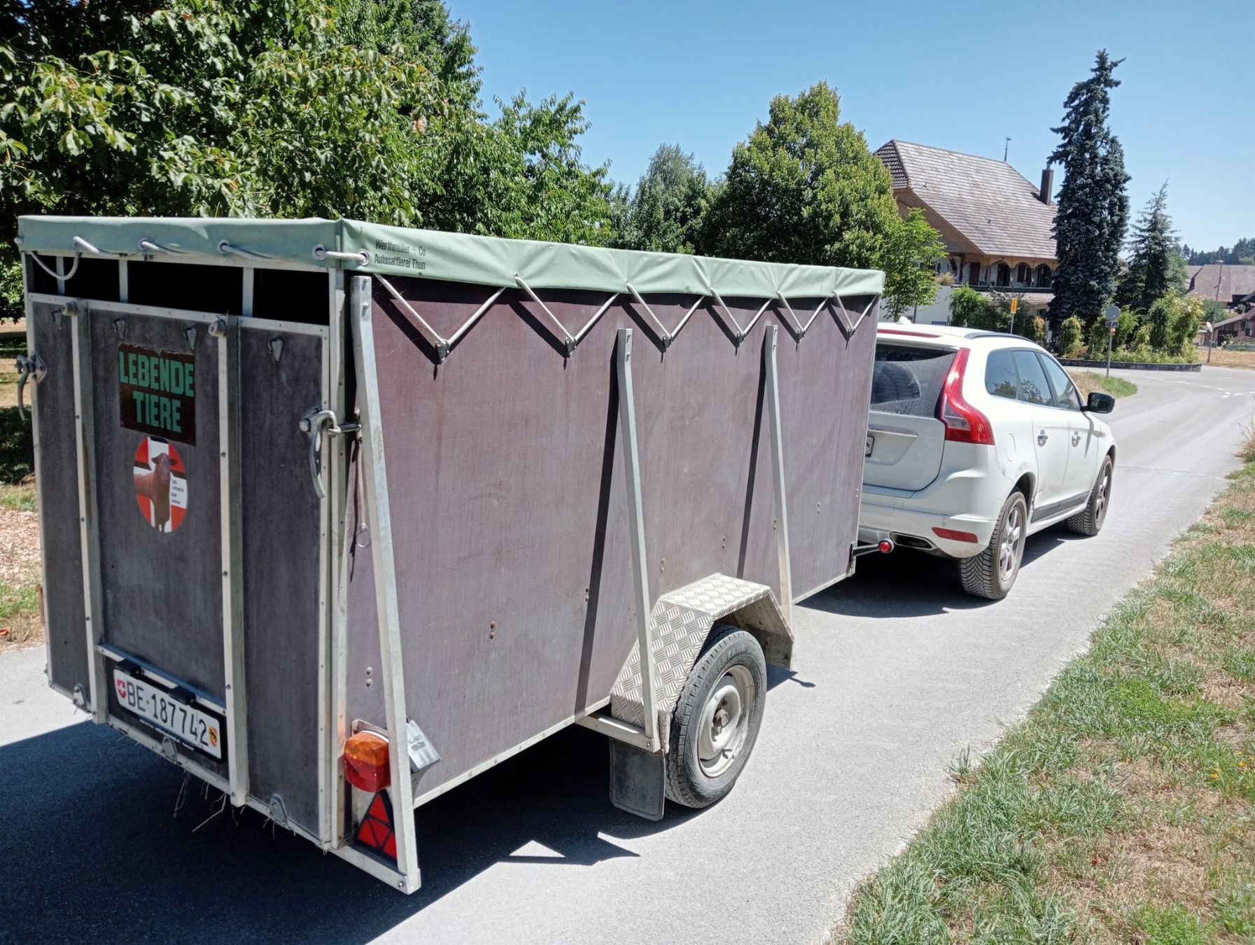 Anhänger: Schafanhänger – Gebraucht aus Grafenried von Galen2 2