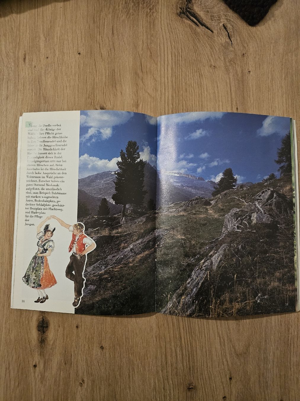 Riviste & Magazine: Wir Bergler sind häuslich -Heft – Usato da Burgdorf venduto da Paedii01 2