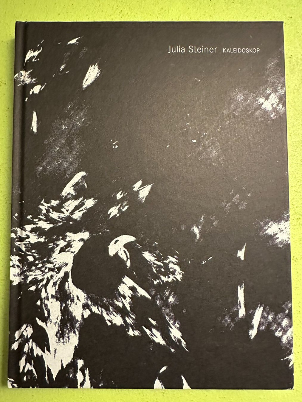 Libri: Julia Steiner: Kaleidoskop. d/f – Usato da Zürich venduto da allp