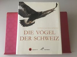 Vögel der Schweiz Sempach Birding Birds Wandern Natur