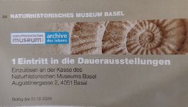 Gratis Eintritt Naturhistorisches Museum Basel