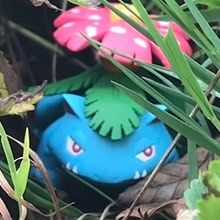 Profile image of NerdStoreTCG