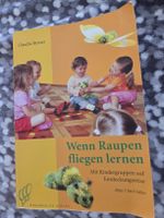 Buch Wenn Raupen fliegen lernen Claudia Bryner guter Zustand