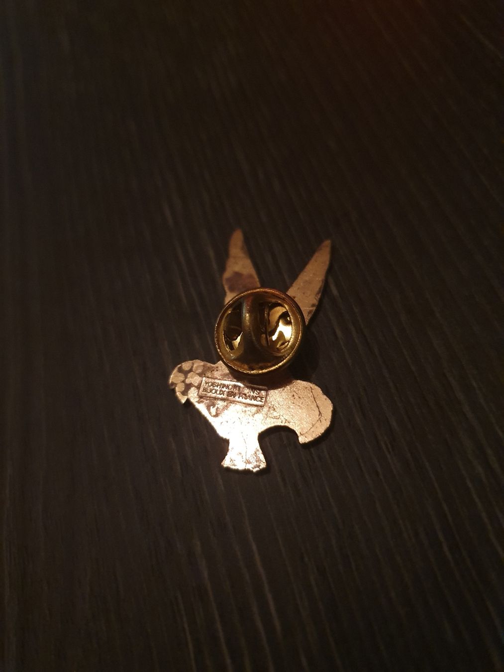 Placchette & Badge: Pin Coyote – Usato da Thun venduto da Kissthis 1