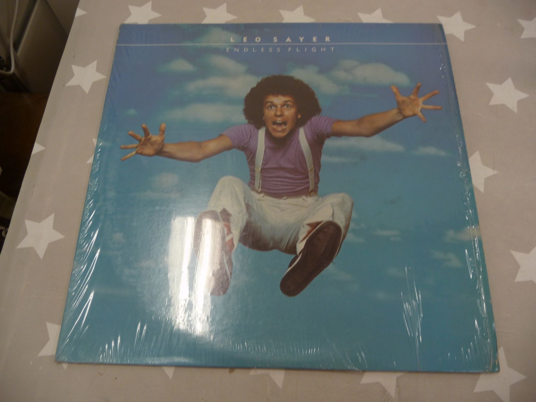 Dischi in vinile: LP: Leo Sayer Endless Flight – Usato da Rafz venduto da Powacaddy
