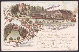 Buchegg Lithografie Wirtschaft Bierbrauerei Schloss Buchegg