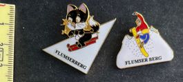 Flumserberg, Ski  / 2 Pin
